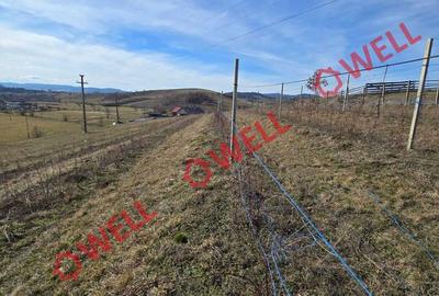 Spațiu comercial, în Barcani - 3