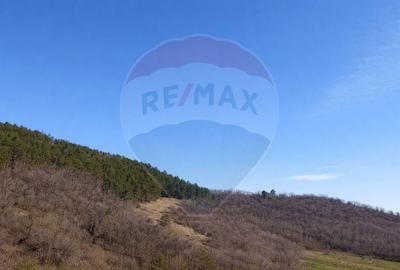 Teren agricol de 4700 mp, în Pianu - 2