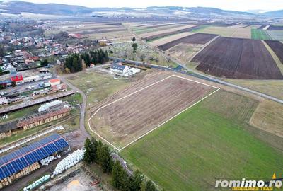 Teren de 10000 mp, în Central - 2