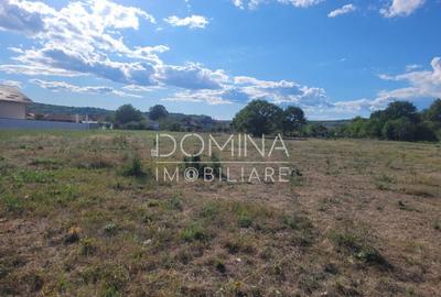 Teren intravilan cu PUZ, situat in Targu-Jiu, Slobozia - 8