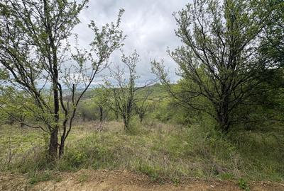 Teren agricol extravilan de 2900 mp, în Periferie - 5