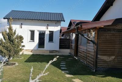 Casă cu 3 camere cu Teren 466 Mp în Bradu - 8