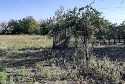 Teren de 2772 mp, în Găgeni - 1