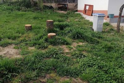 Casă cu 3 camere în Exterior Vest - 5