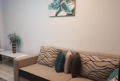 Apartament doua camere, deco, mobilat utilat frumos, Parcul Catedralei - 34