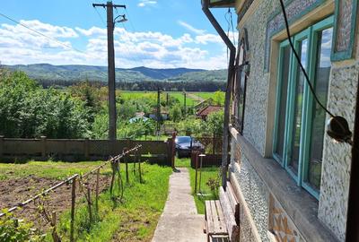 Casa de Vanzare Baiculesti Arges - 6