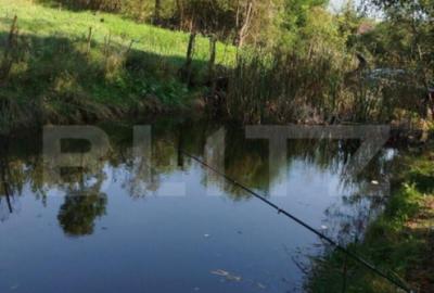 Teren intravilan 1150 mp cu cabana si balta, Sat Craesti - 1