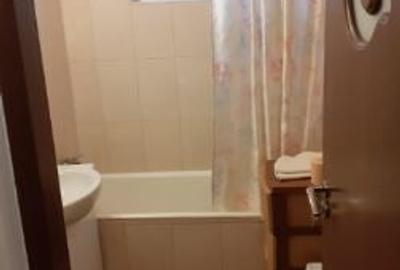 Apartament cu 3 camere semidecomandat, mobilat în Iancului - 7