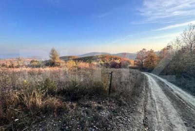 Teren de 5300 mp, în Râmeț - 2