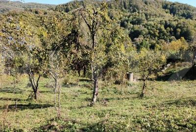 Teren de 2406 mp, în Central - 4