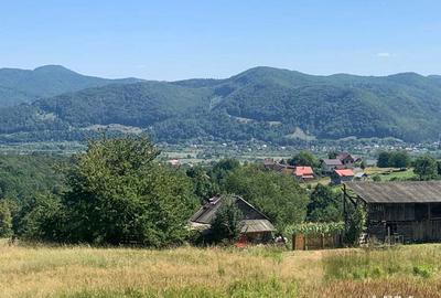 Teren de 10000 mp, în Alexandru cel Bun - 9