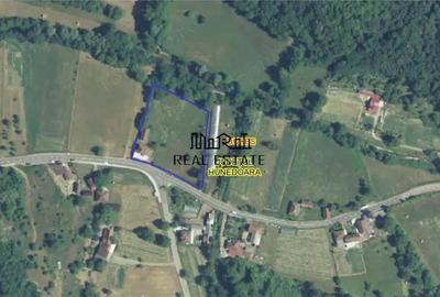 Proprietate in Apuseni - fosta pizzerie, ideala pentru afacere sau locuinta - 7