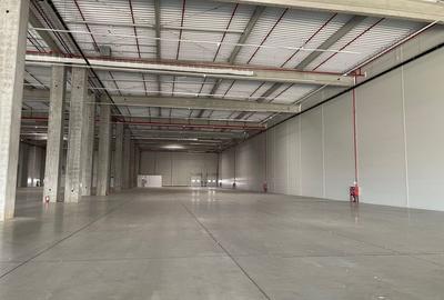Spatiu de depozitare si productie centru logistic  Chitila-Buftea - 4