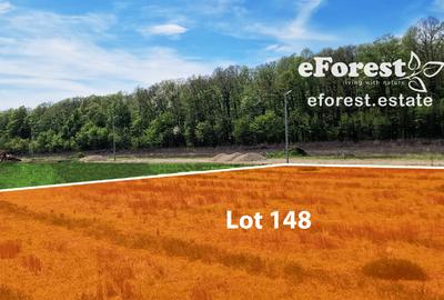 Terenuri premium de vanzare, langa padure, acces asfaltat din DN1A - 8