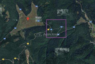 Teren 7 ha, Lac Vidraru, Podis Molivis - 5