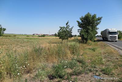 Teren de 60000 mp, în Zimandcuz - 3