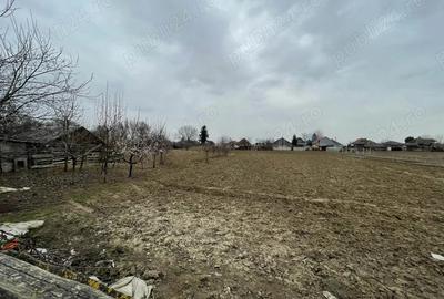Casa de vanzare - 4