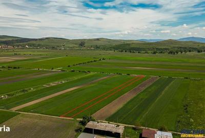 Spațiu comercial, în Bod - 3