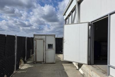 Hala industriala noua de inchiriat – Lumina, Constanta - 6