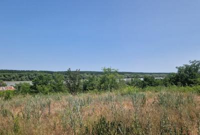 MAHMUDIA-TERENURI SI CASE - 11