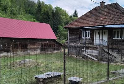 Casa ?araneasca de vanzare, Avram Iancu, Alba - 9