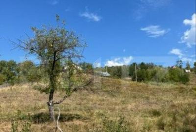 Teren Intravilan. zona Vulcana de Sus - 2