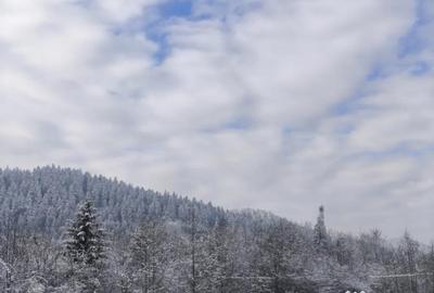 Teren de 22600 mp, în Sucevița - 5