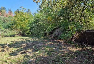 Casă cu Teren 680 Mp în Triaj - 3