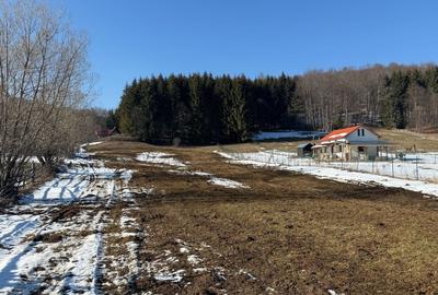 Teren Construcții intravilan de 4521 mp, în Valea Doftanei - 8