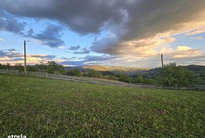 Teren de 5200 mp, în Roșia - 2