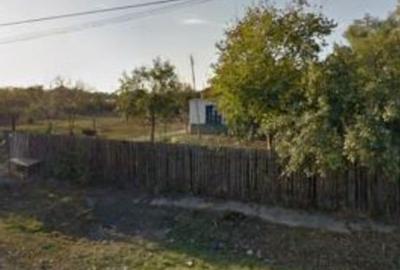 Casă cu 4 camere cu Teren 4426 Mp în Pitulați - 6