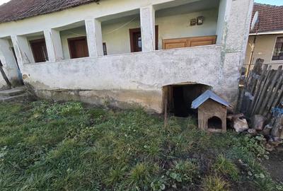 Casă cu 6 camere cu Teren 1400 Mp în Chitid - 2
