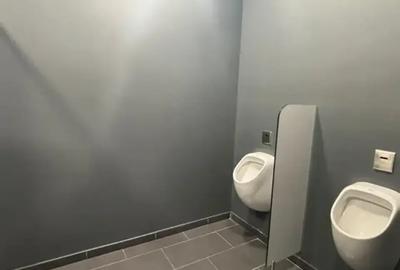 Minulescu | Spatiu Birouri | Metrou Timpuri Noi 5 minute| Liber 113 mp - 17