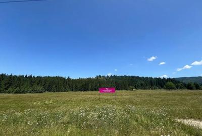 Teren de 40250 mp, în Comandău - 2
