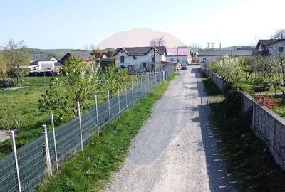 Teren de 5174 mp, în Ilișești - 3