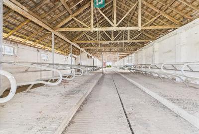 Spațiu industrial, de 6,179 mp, în Orțișoara - 28