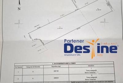 Oportunitate de investitie teren intravilan 7535 mp utilitati aproape, Cositeni - 6