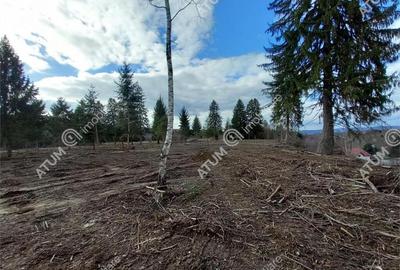 Teren intravilan 1000 mp in Avrig zona Valea Avrigului - 1