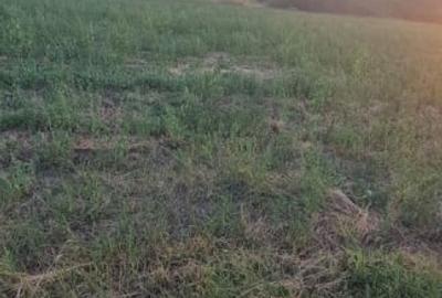 Teren extravilan 6883mp Odobesti - 2