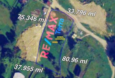 Teren Construcții intravilan de 2770 mp, în Est - 3