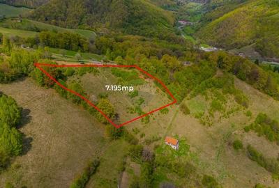 Teren 7,195mp Poiana Marului /Extravilan/Oportunitate investiție - 2