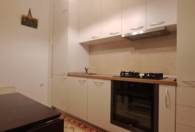 APARTAMENT TREI CAMERE/PARTER/GRADINA/LOC DE PARCARE/GREENFIELD BANAESA - 51