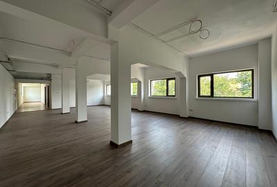 Spatii birouri, showroom, de la 100mp la 220mp, fata Carrefour Felicia - 17