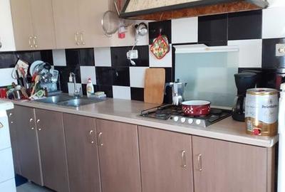 Casă cu 2 camere cu Teren 180 Mp în Sintea Mare - 2