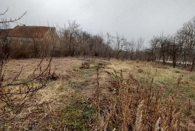 Proprietar- Ideala ptr. locuit, azil, clinica etc. - 13