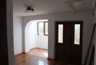 Casă cu 2 camere în Bradu - 4