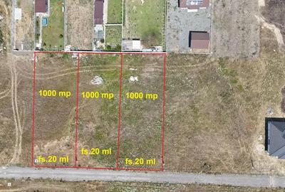 Teren de 1000 mp, în Sânpaul - 3