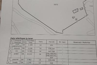 Vând casă +teren 19200m - 5
