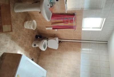 Spațiu comercial, de 160 mp, în Craiovei - 3