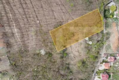 Teren de 10046 mp, în Cetate - 4